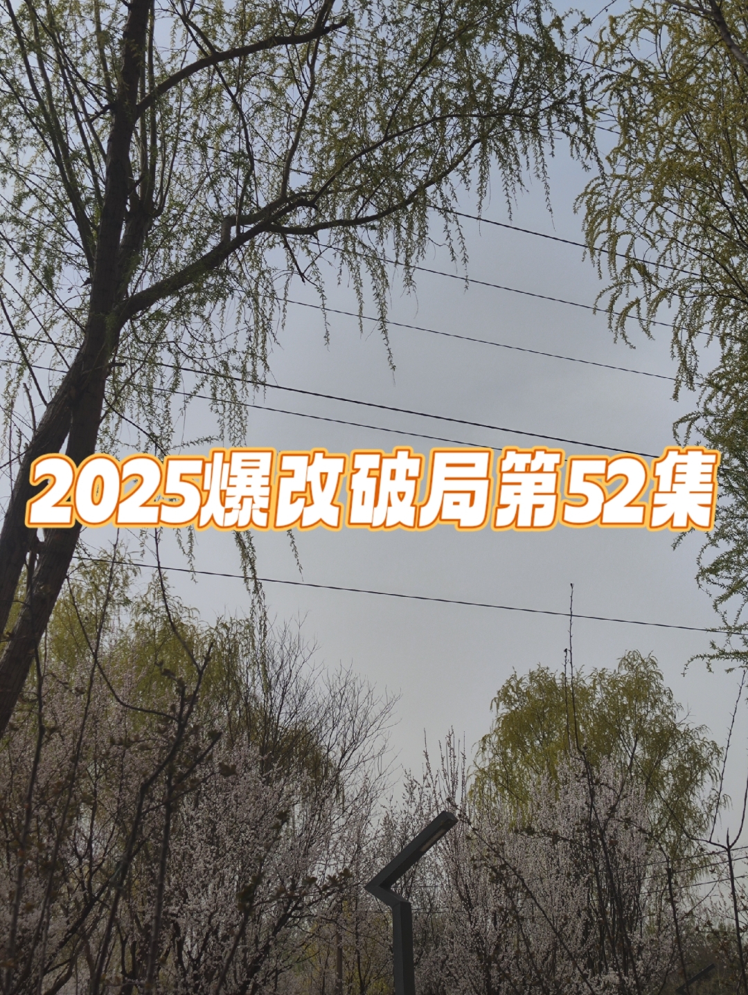 2025疫情还会封控吗？最新消息视频播放，2025年疫情封控政策最新动态及视频解读