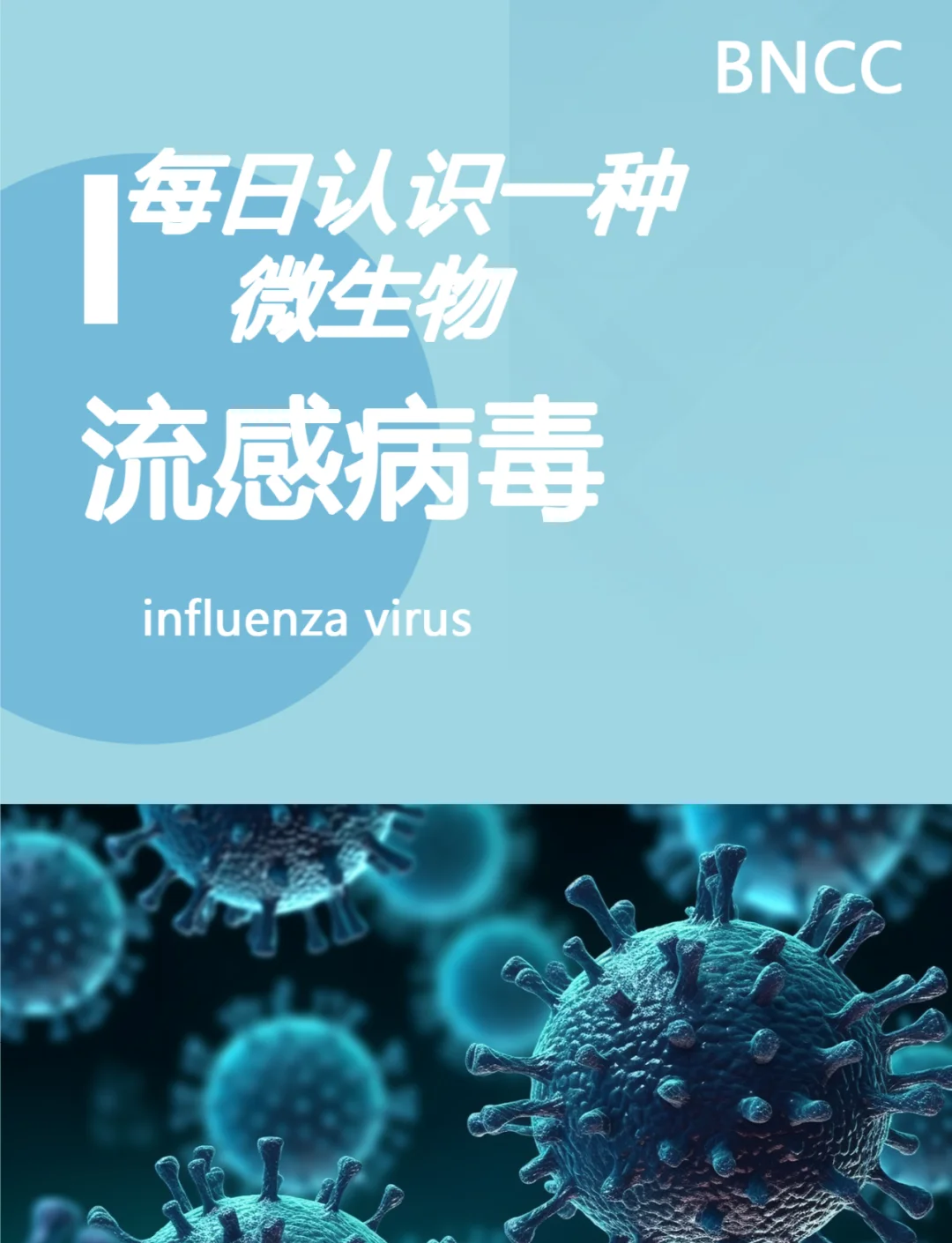 结语：共同守护健康未来