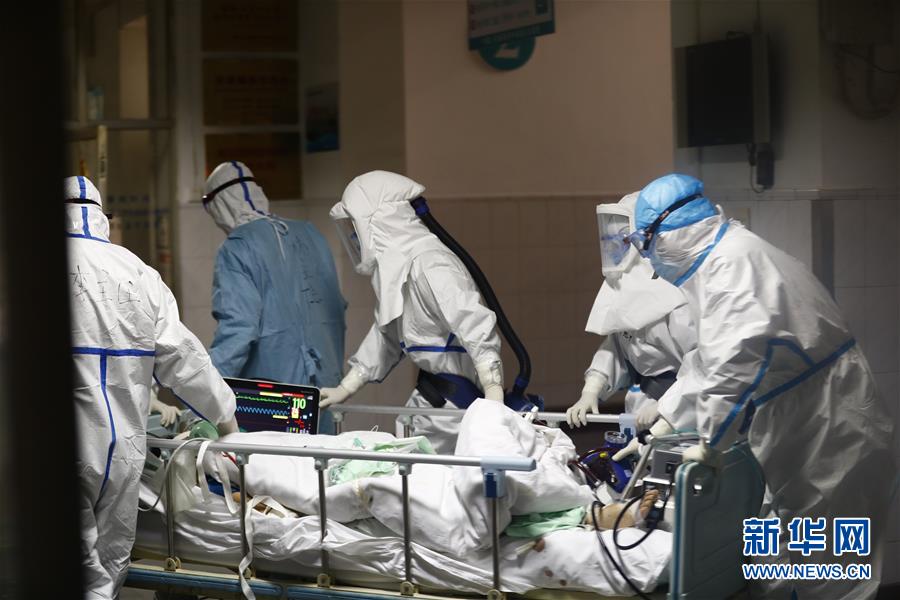 志愿者:无私奉献的温暖力量