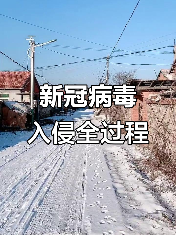 人类团结应对共同挑战