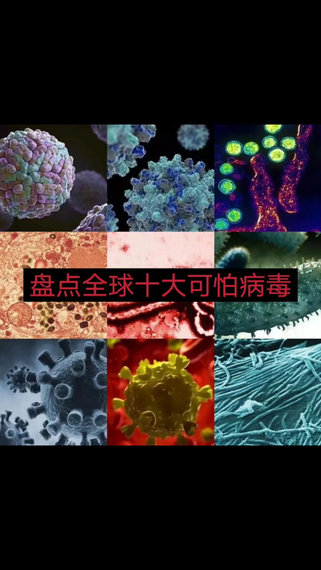 面对病毒,我们该如何应对?