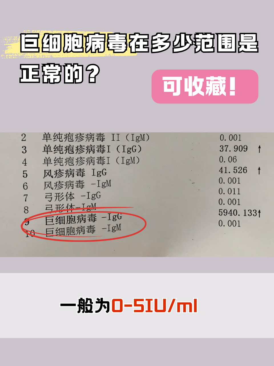 未来展望:持续应对与国际合作