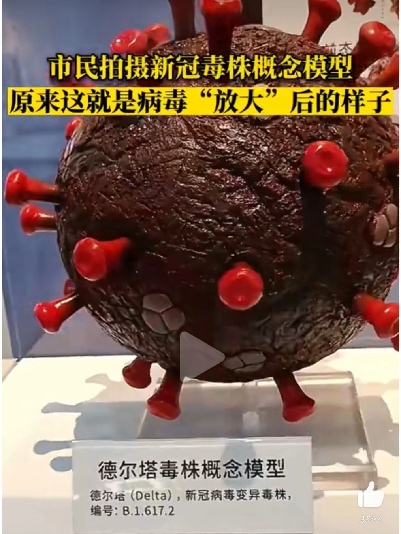 未来的希望与挑战