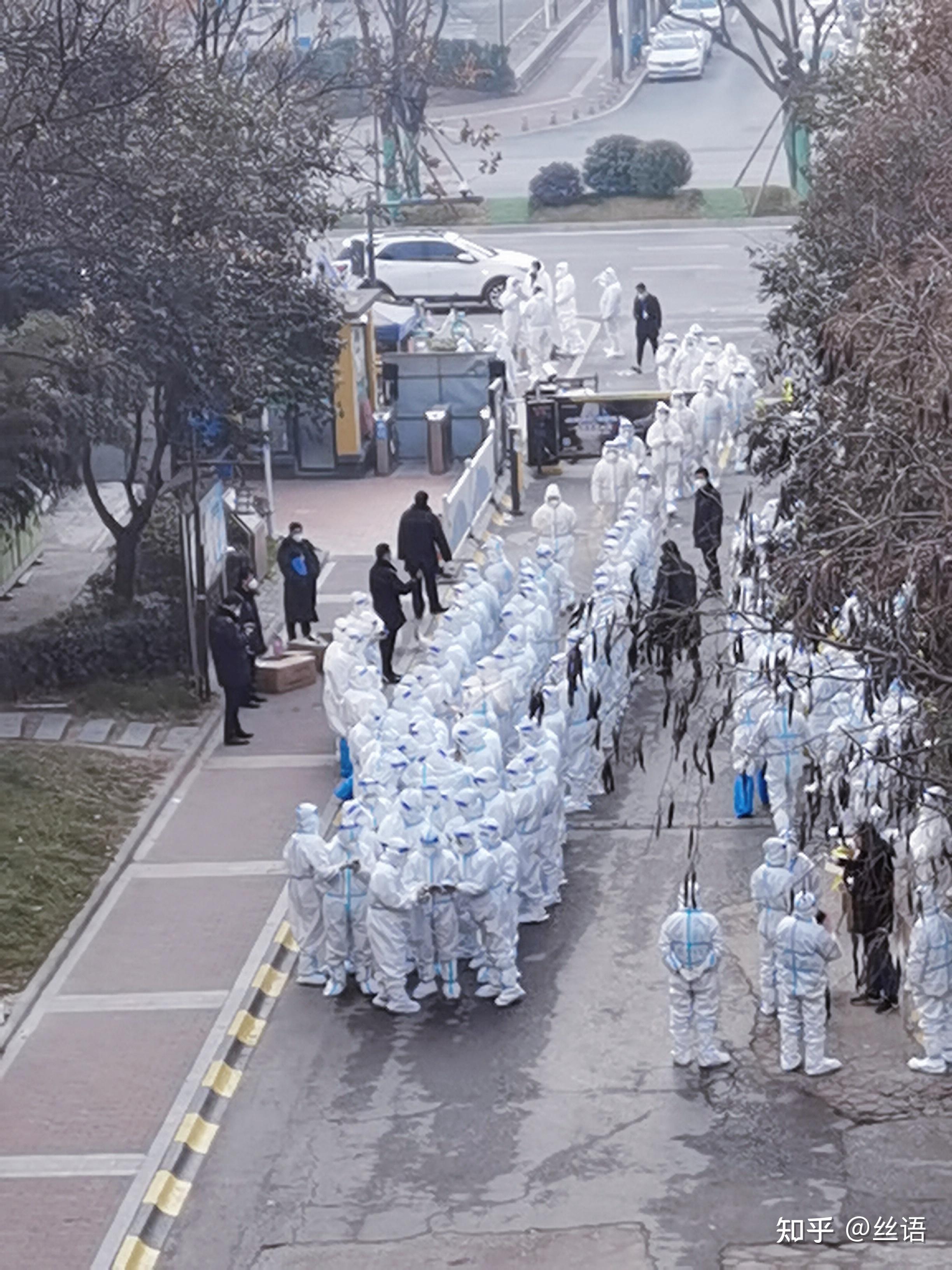 不同地区的应对策略差异明显