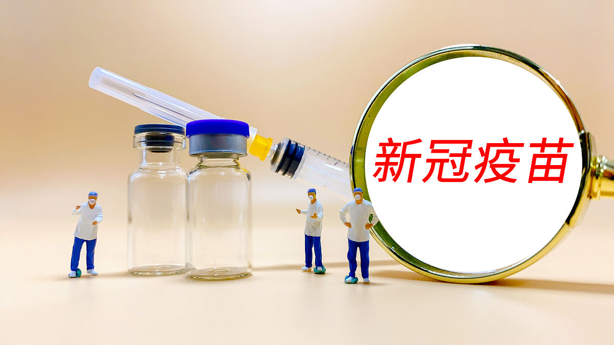 社会的反思与重建