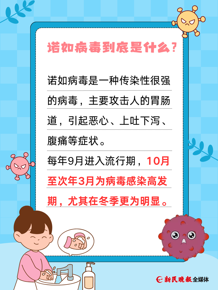 今年病毒叫啥？最新病毒名称揭秘，2023年常见病毒名称及危害分析