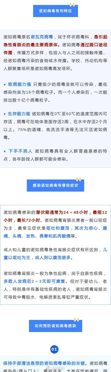 病毒的影响分析