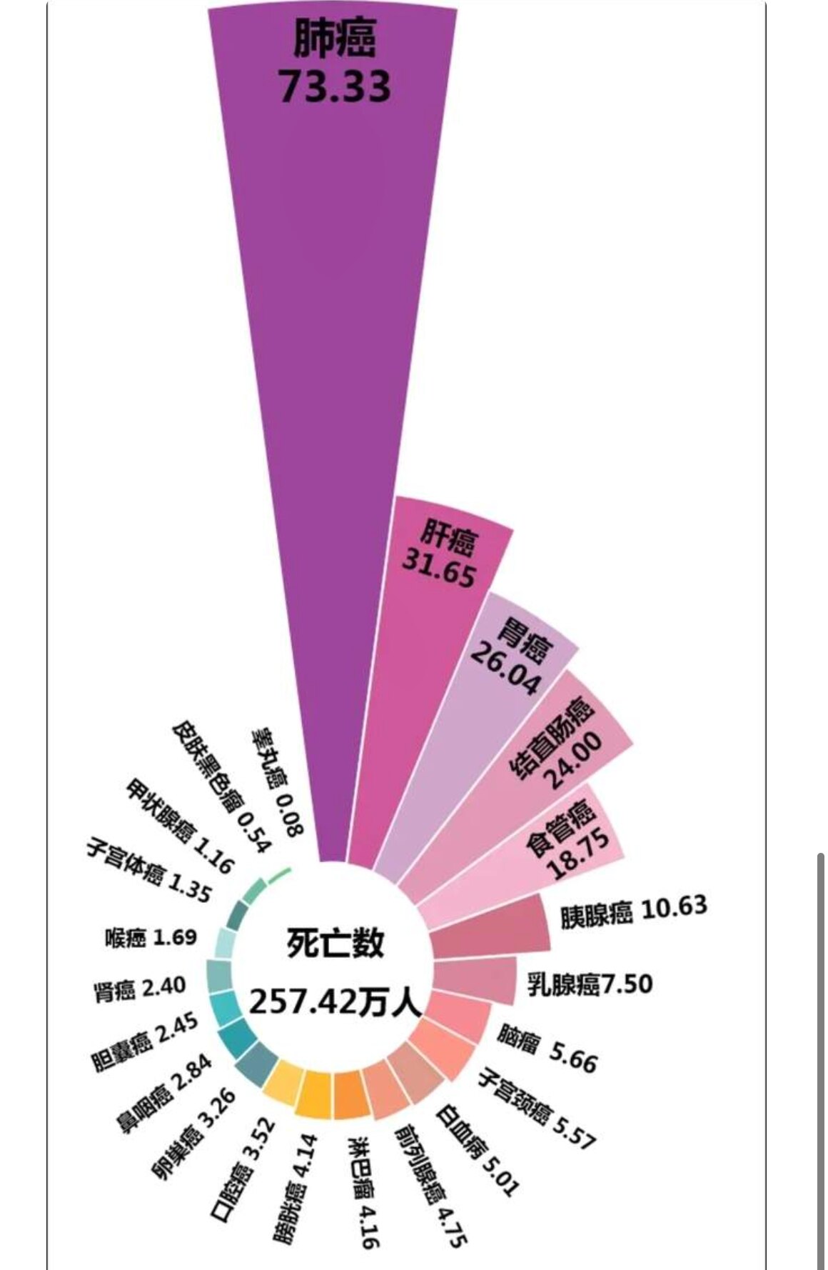 社会因素与政策应对