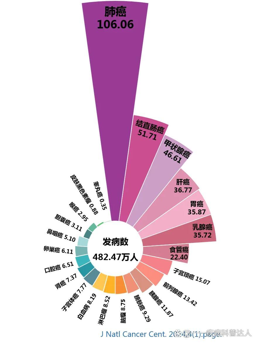 未来展望与建议