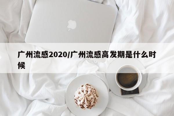 广州流感2020/广州流感高发期是什么时候