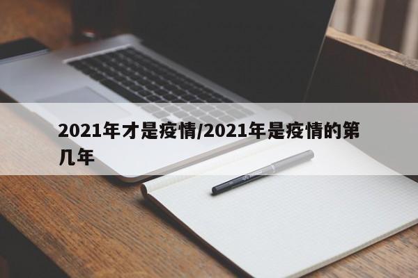 2021年才是疫情/2021年是疫情的第几年