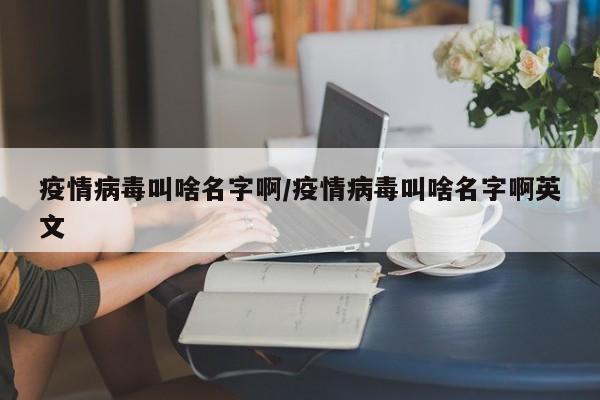 疫情病毒叫啥名字啊/疫情病毒叫啥名字啊英文
