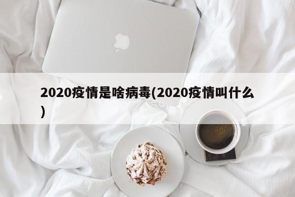 2020疫情是啥病毒(2020疫情叫什么)