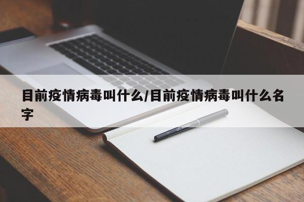 目前疫情病毒叫什么/目前疫情病毒叫什么名字