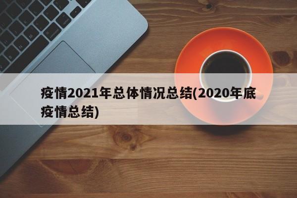 疫情2021年总体情况总结(2020年底疫情总结)