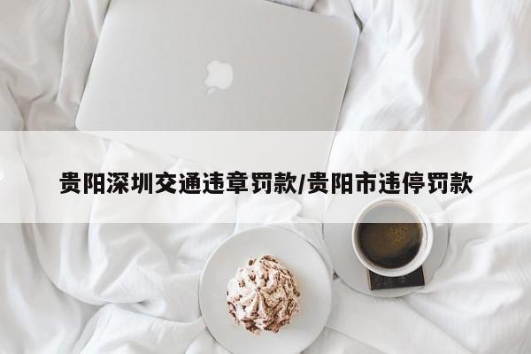 贵阳深圳交通违章罚款/贵阳市违停罚款