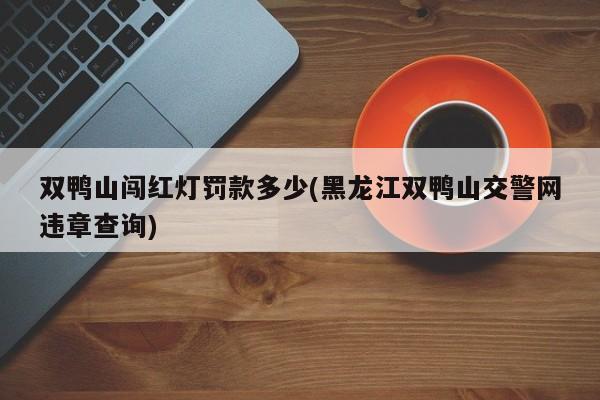 双鸭山闯红灯罚款多少(黑龙江双鸭山交警网违章查询)